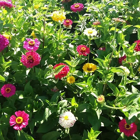 公寓 Annabel Theológos