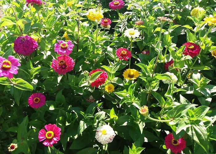 아파트 Annabel Theológos