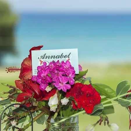 Annabel Теологос